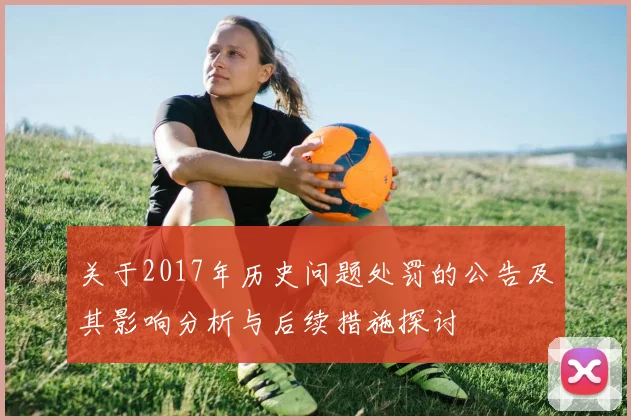 关于2017年历史问题处罚的公告及其影响分析与后续措施探讨